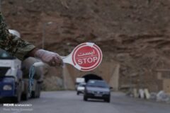 جاده چالوس به دلیل تردد احشام بسته است