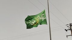 خیابان‌هایی که در البرز با نام علی (ع) جان می گیرند