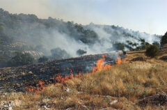 آتش‌ سوزی مراتع طالقان مهار شد