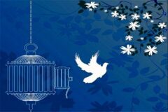 آزادی ۲۲ زندانی جرایم غیرعمد در استان البرز