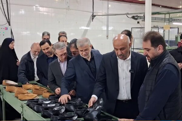 بازدید وزیر تعاون از کارخانه تولید چرم