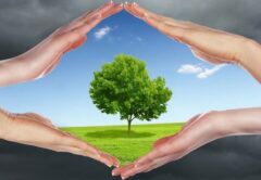 روزهای پاک در البرز افزایش یافت