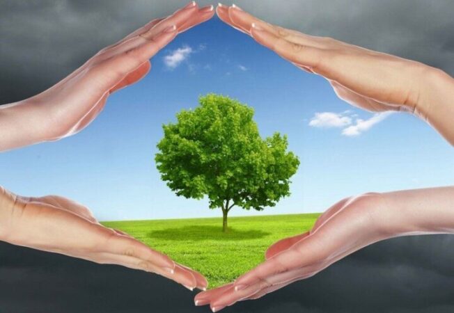 روزهای پاک در البرز افزایش یافت