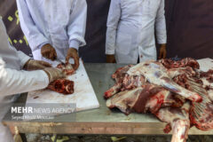 طرح نظارتی دامپزشکی در ایام عاشورا و تاسوعا در البرز اجرا می‌شود