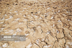 وضعیت بحرانی تالاب صالحیه مستعد ایجاد گرد و غبار است