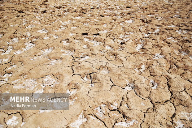 وضعیت بحرانی تالاب صالحیه مستعد ایجاد گرد و غبار است