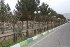 چالش نگهداری از درختان بهشت سکینه کرج