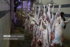 کشف و توقیف گوشت غیر بهداشتی در البرز؛ تکذیب گوشت الاغ بودن محموله