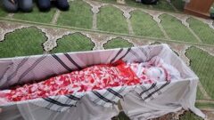 ۲۸ البرزی به واسطه حملات اسرائیل شهید شدند