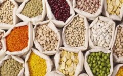 ۹۴۰ تن حبوبات به ظن قاچاق در البرز کشف شد